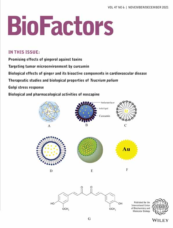 Curcuma longa and curcumin affect respiratory and allergic disorders, experimental and clinical evidence: A comprehensive and updated review