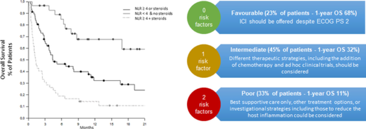 Host immune‐inflammatory markers to unravel the heterogeneous outcome and assessment of patients with PD‐L1 ≥50% metastatic non‐small cell lung cancer and poor performance status receiving first‐line immunotherapy