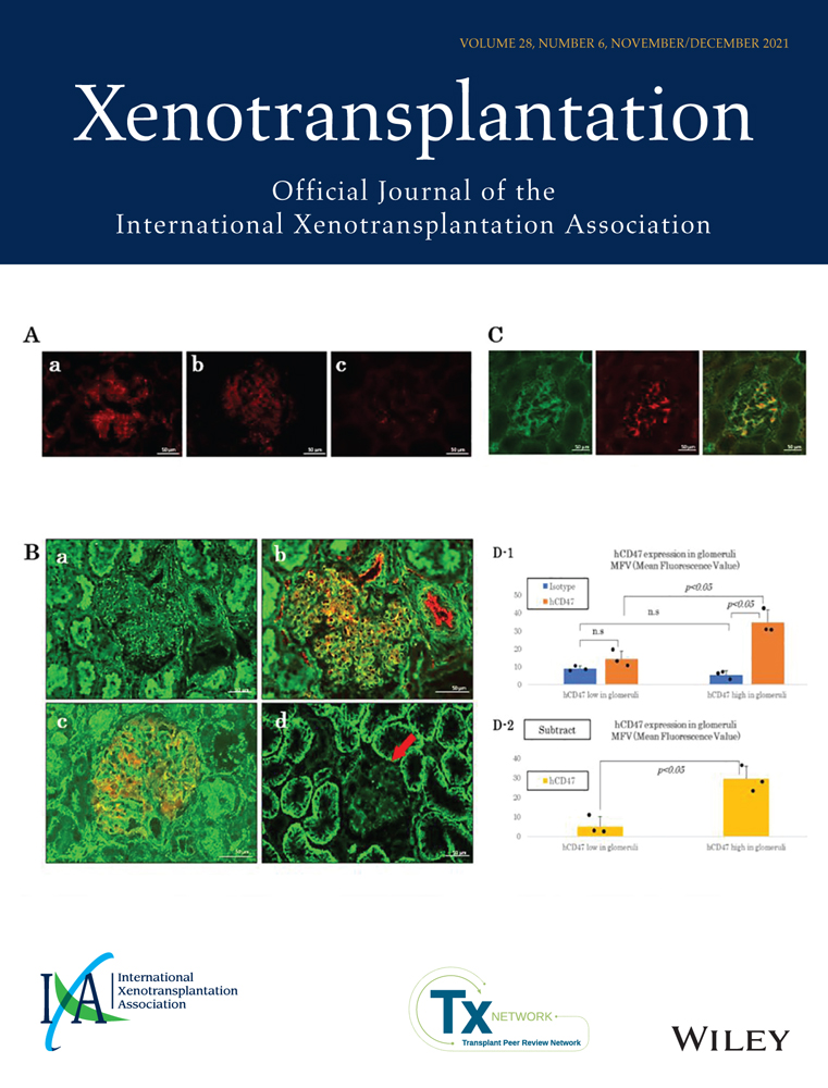 Anti‐thymoglobulin induction improves neonatal porcine xenoislet engraftment and survival