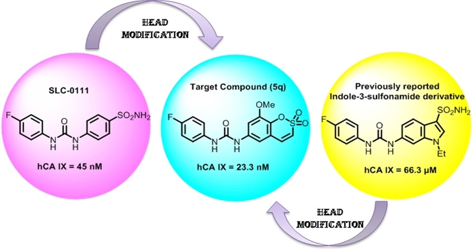 Ureidosulfocoumarin Derivatives As Selective and Potent Carbonic Anhydrase IX and XII Inhibitors