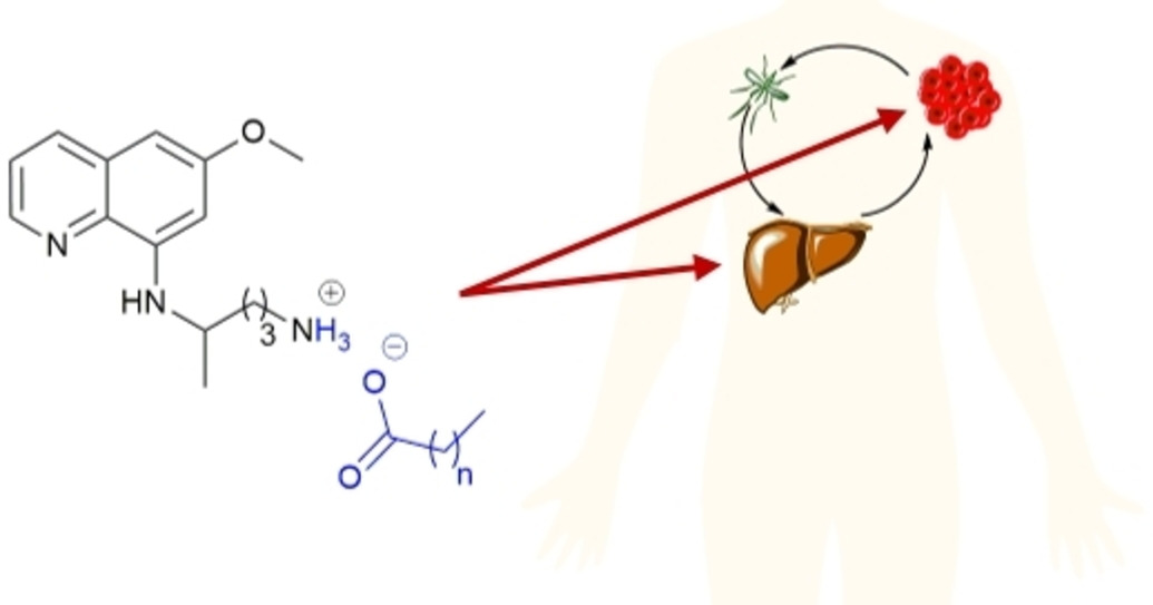 Drug‐Derived Surface‐Active Ionic Liquids: A Cost‐Effective Way To Expressively Increase the Blood‐Stage Antimalarial Activity of Primaquine