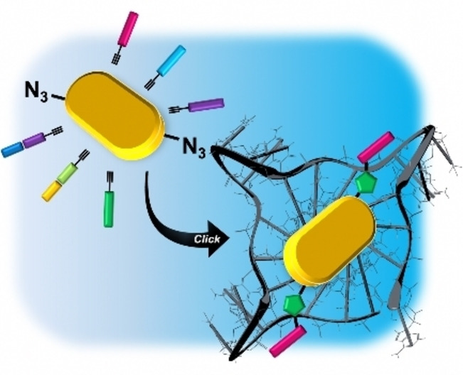 Amino‐Acid‐Anthraquinone Click Chemistry Conjugates Selectively Target Human Telomeric G‐Quadruplexes