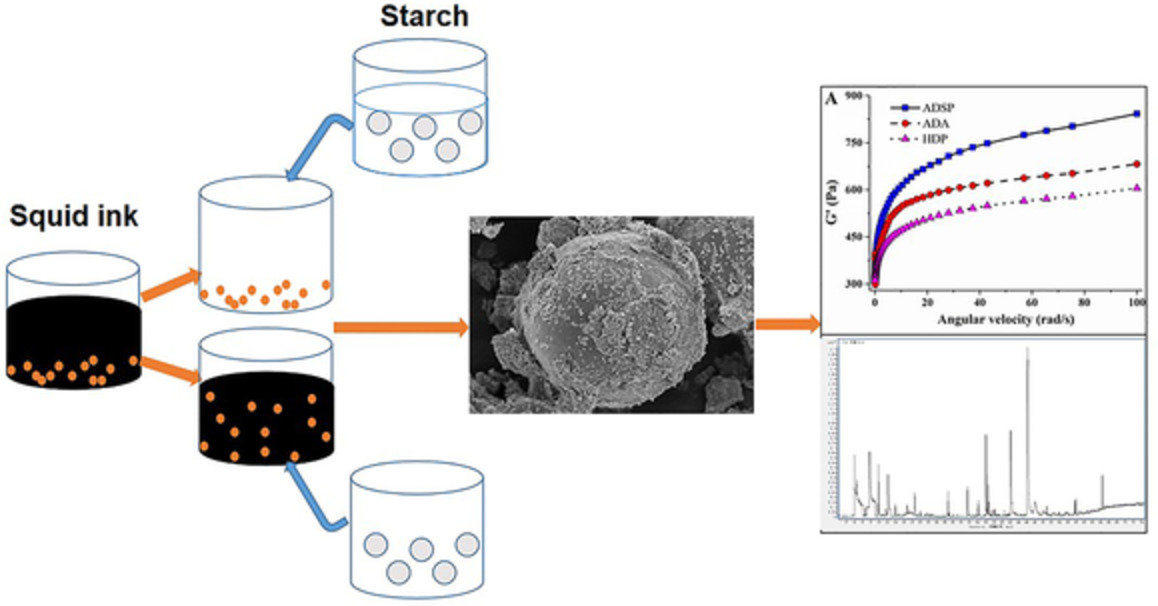 Effects of modified starch and homogeneous process on quality and volatile compounds of squid ink sauces