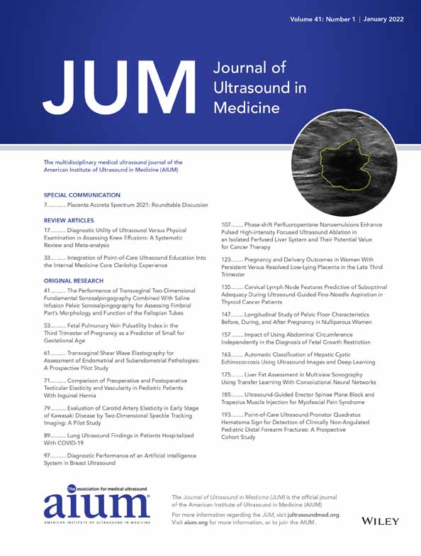 Pregnancy and Delivery Outcomes in Women With Persistent Versus Resolved Low‐Lying Placenta in the Late Third Trimester