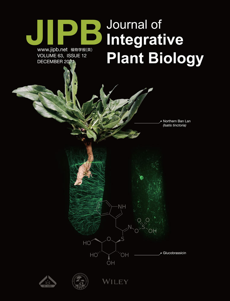 RNA silencing: From discovery and elucidation to application and perspectives