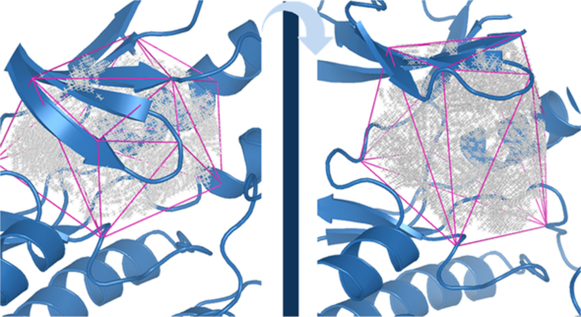 Analysis of changes of cavity volumes in predefined directions of protein motions and cavity flexibility