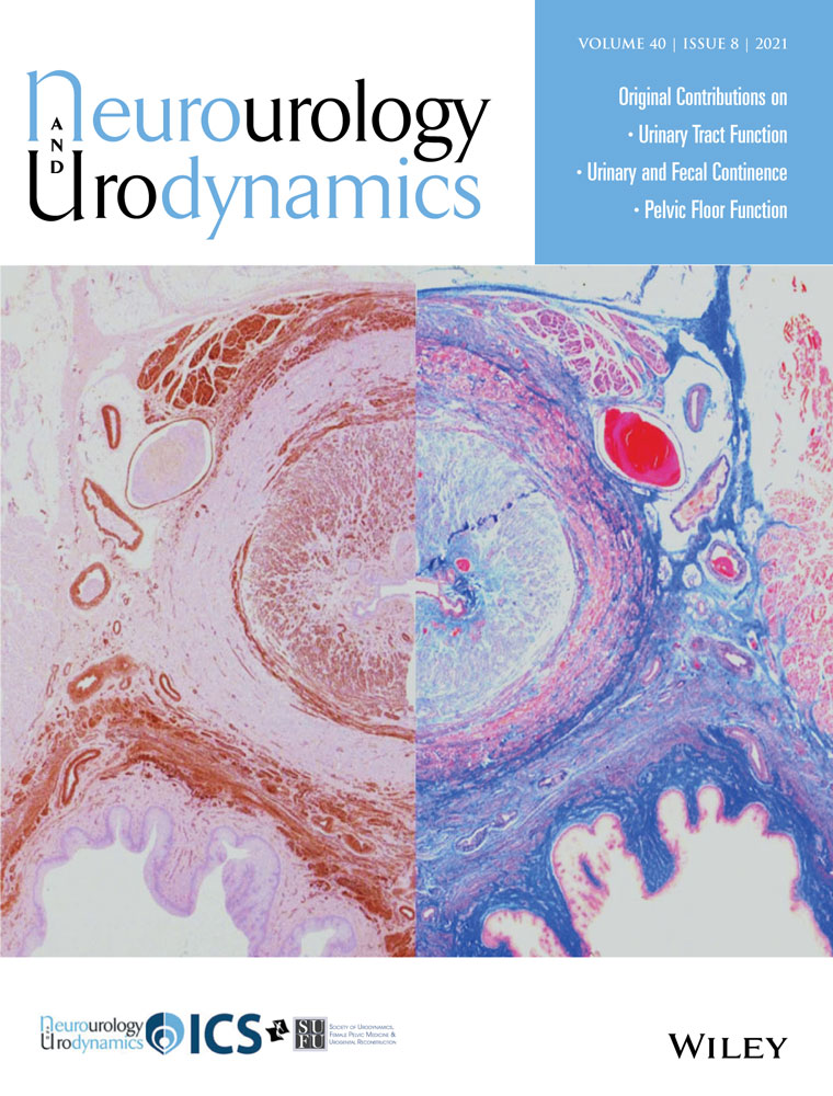 Evaluation of the effect of levator ani muscle contraction on post‐prostatectomy urinary incontinence using cine MRI