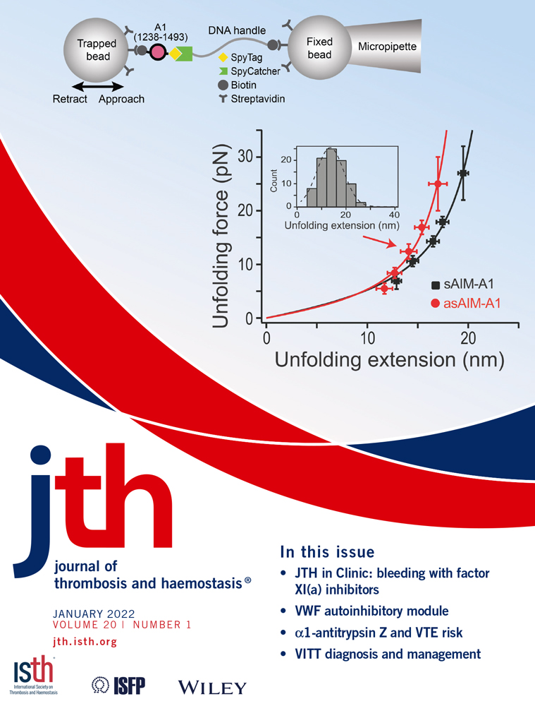 Effect of heparanase inhibitor on tissue factor overexpression in platelets and endothelial cells induced by anti‐β2‐GPI antibodies: Comment from Mackman et al.