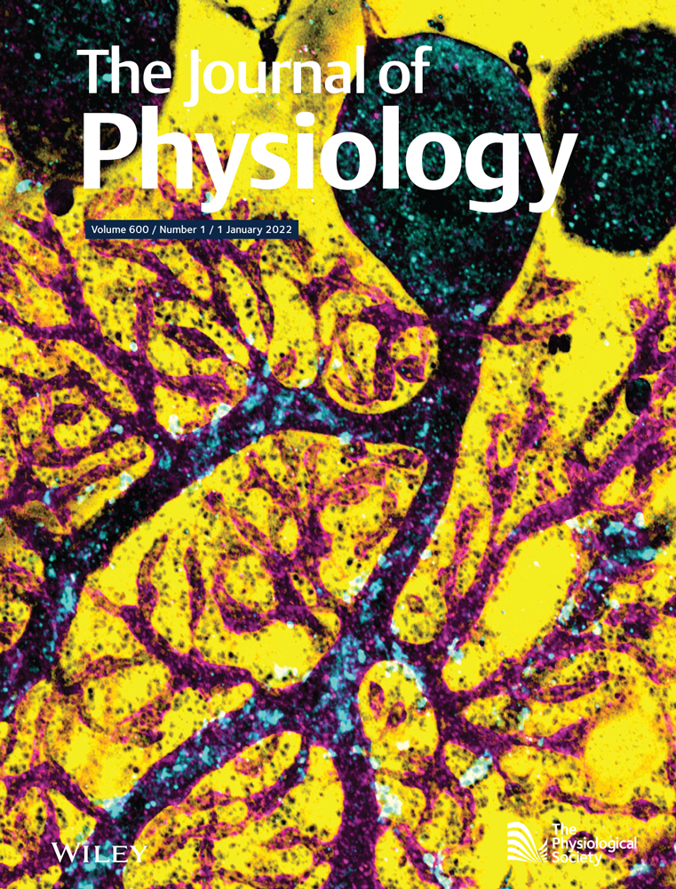 Insulin potentiates the response to capsaicin in dorsal root ganglion neurons in vitro and muscle afferents ex vivo in normal healthy rodents