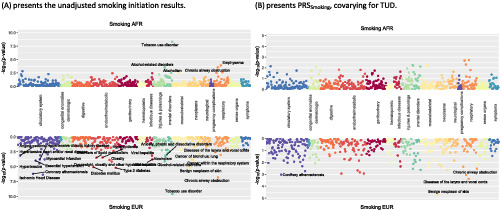 Genetic liability for substance use associated with medical comorbidities in electronic health records of African‐ and European‐ancestry individuals