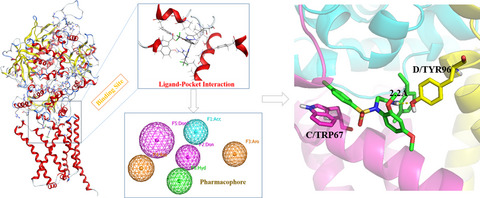 Identification of Novel Nematode SDH Inhibitors: Virtual Screening Based on Ligand‐Pocket Interactions