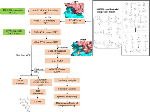 Identification of selective mtbDHFR inhibitors by virtual screening and experimental approaches