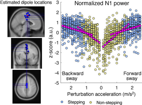 Cortical responses to whole‐body balance perturbations index perturbation magnitude and predict reactive stepping behavior