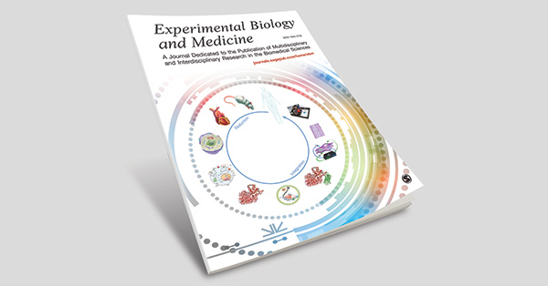 MicroRNA regulation of BAG3