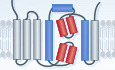 Regulation of ER‐derived membrane dynamics by the DedA domain‐containing proteins VMP1 and TMEM41B