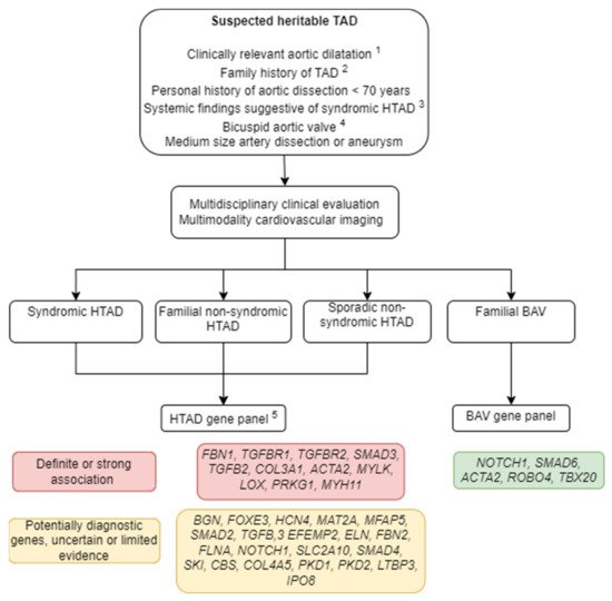 Cardiogenetics, Vol. 12, Pages 63-79: Genetics of Heritable Thoracic Aortic Disease