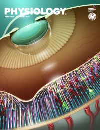 Pulsatile Basal Insulin Secretion is Driven by Glycolytic Oscillations