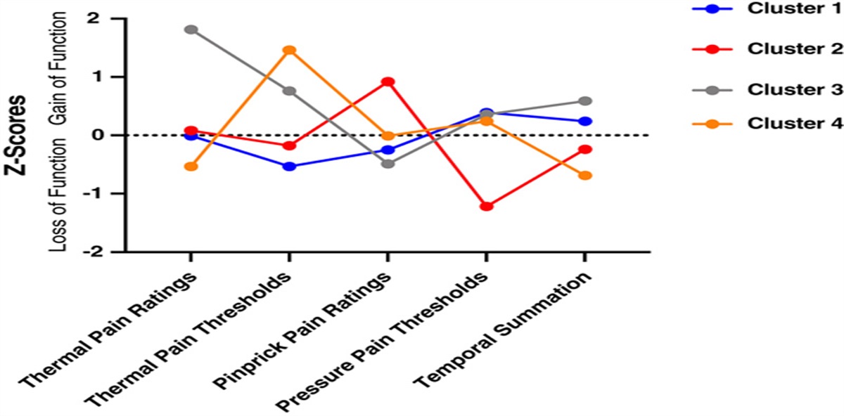 Experimental Pain Phenotype Profiles in Community-dwelling Older Adults