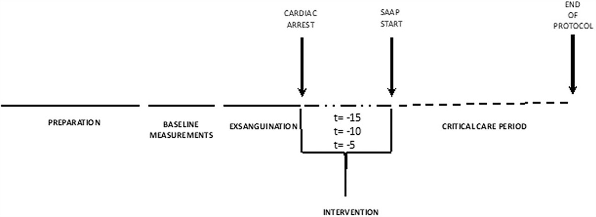 Whole Blood Selective Aortic Arch Perfusion for Exsanguination Cardiac Arrest: Assessing Myocardial Tolerance to the Duration of Cardiac Arrest