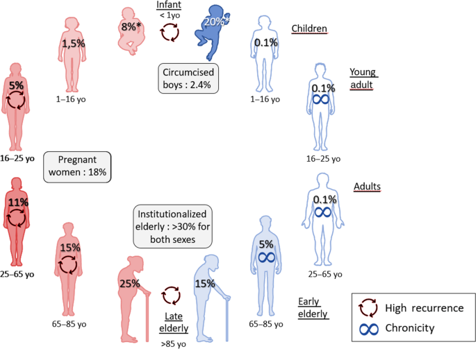The impact of biological sex on diseases of the urinary tract