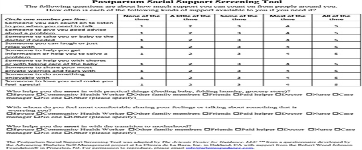 Operationalizing Whole-Person Postpartum Care: Health Care Provider-Level Strategies