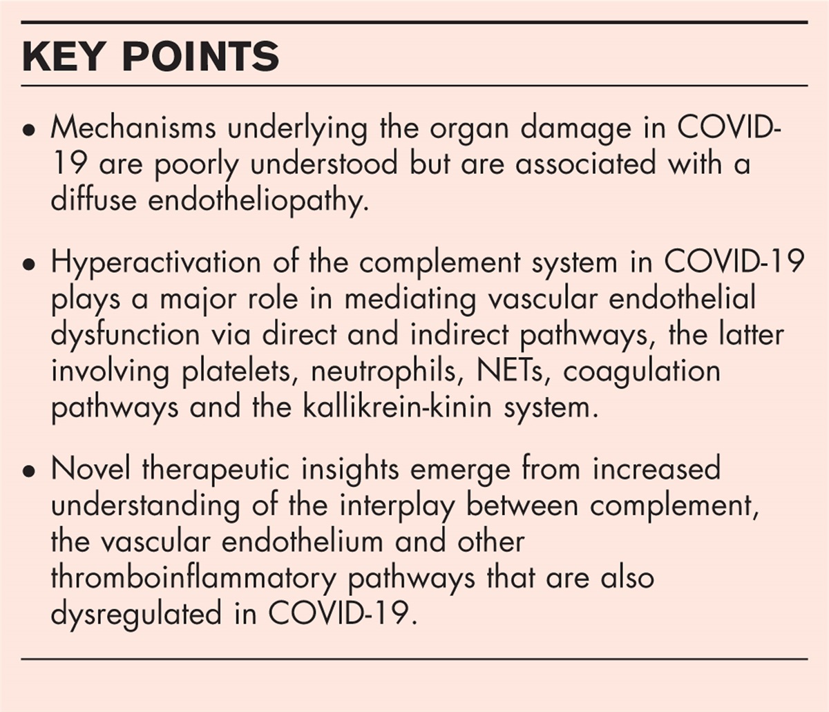 Complement contributions to COVID-19