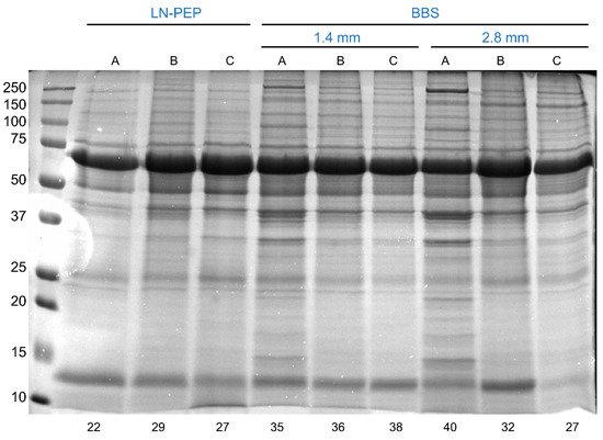 Proteomes, Vol. 10, Pages 30: Optimization of a Protocol for Protein Extraction from Calcified Aortic Valves for Proteomics Applications: Development of a Standard Operating Procedure