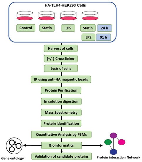 Proteomes, Vol. 10, Pages 31: Identification of Inflammatory Proteomics Networks of Toll-like Receptor 4 through Immunoprecipitation-Based Chemical Cross-Linking Proteomics