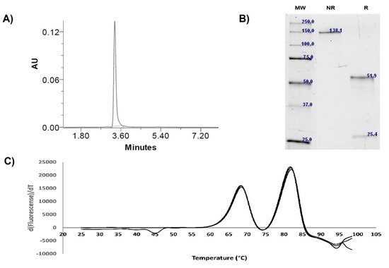 Antibodies, Vol. 11, Pages 57: In Vitro and In Vivo Characterization of a Broadly Neutralizing Anti-SARS-CoV-2 Antibody Isolated from a Semi-Immune Phage Display Library