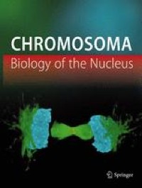 Cytogenetic status of patients with congenital malformations or suspected chromosomal abnormalities in Turkey: a comprehensive cytogenetic survey of 11,420 patients