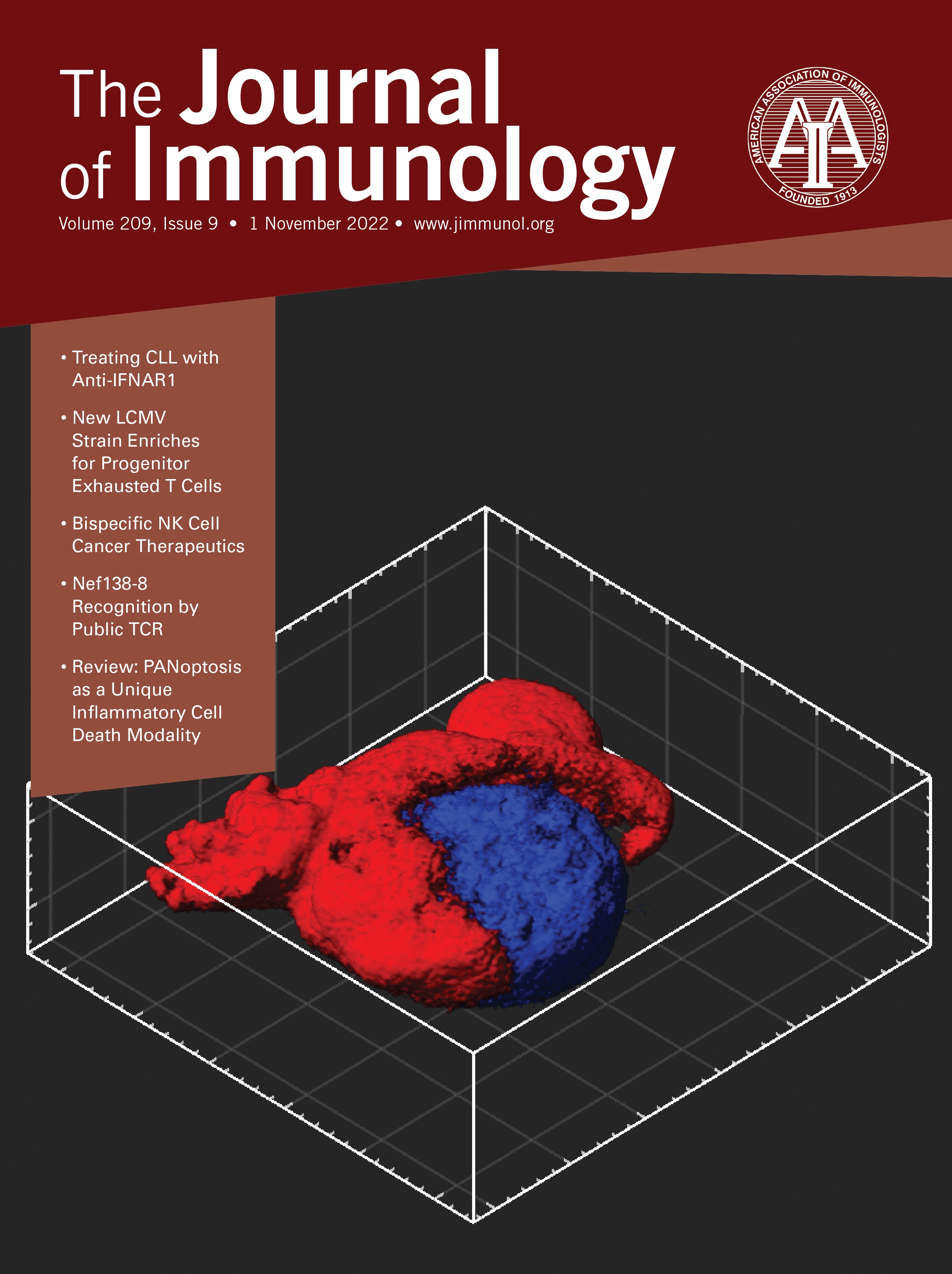 Calpains Released from Necrotic Tumor Cells Enhance Antigen Cross-Presentation to Activate CD8+ T Cells In Vitro [ANTIGEN RECOGNITION AND RESPONSES]