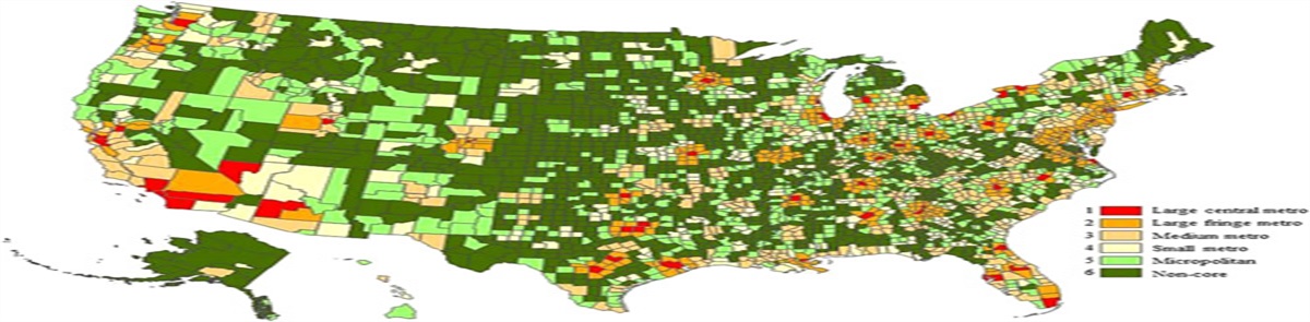 Rural Maternal Health Care Outcomes, Drivers, and Patient Perspectives