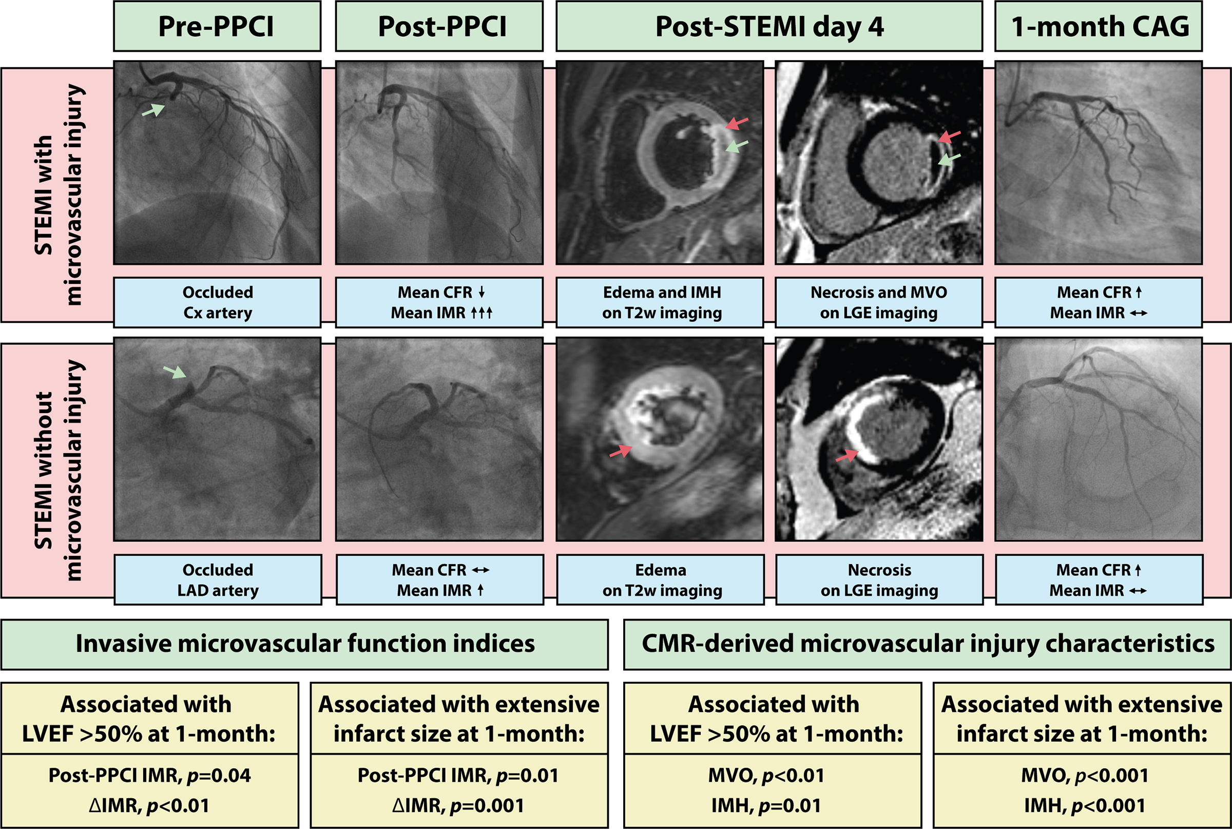 The Dynamic Relationship Between Invasive Microvascular Function and Microvascular Injury Indicators, and Their Association With Left Ventricular Function and Infarct Size at 1-Month After Reperfused ST-Segment–Elevation Myocardial Infarction