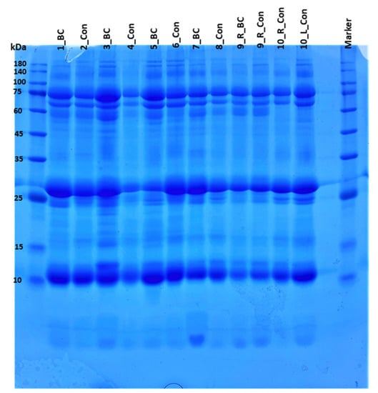 Proteomes, Vol. 10, Pages 36: Mass Spectrometry-Based Proteomics of Human Milk to Identify Differentially Expressed Proteins in Women with Breast Cancer versus Controls