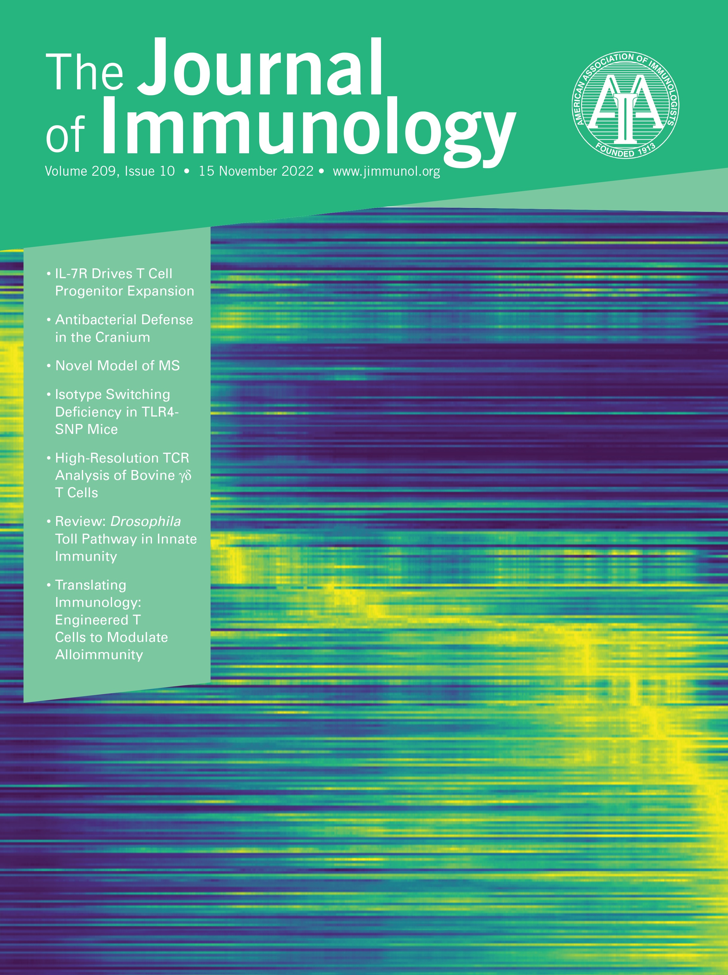 The Drosophila Toll Pathway in Innate Immunity: from the Core Pathway toward Effector Functions [BRIEF REVIEWS]