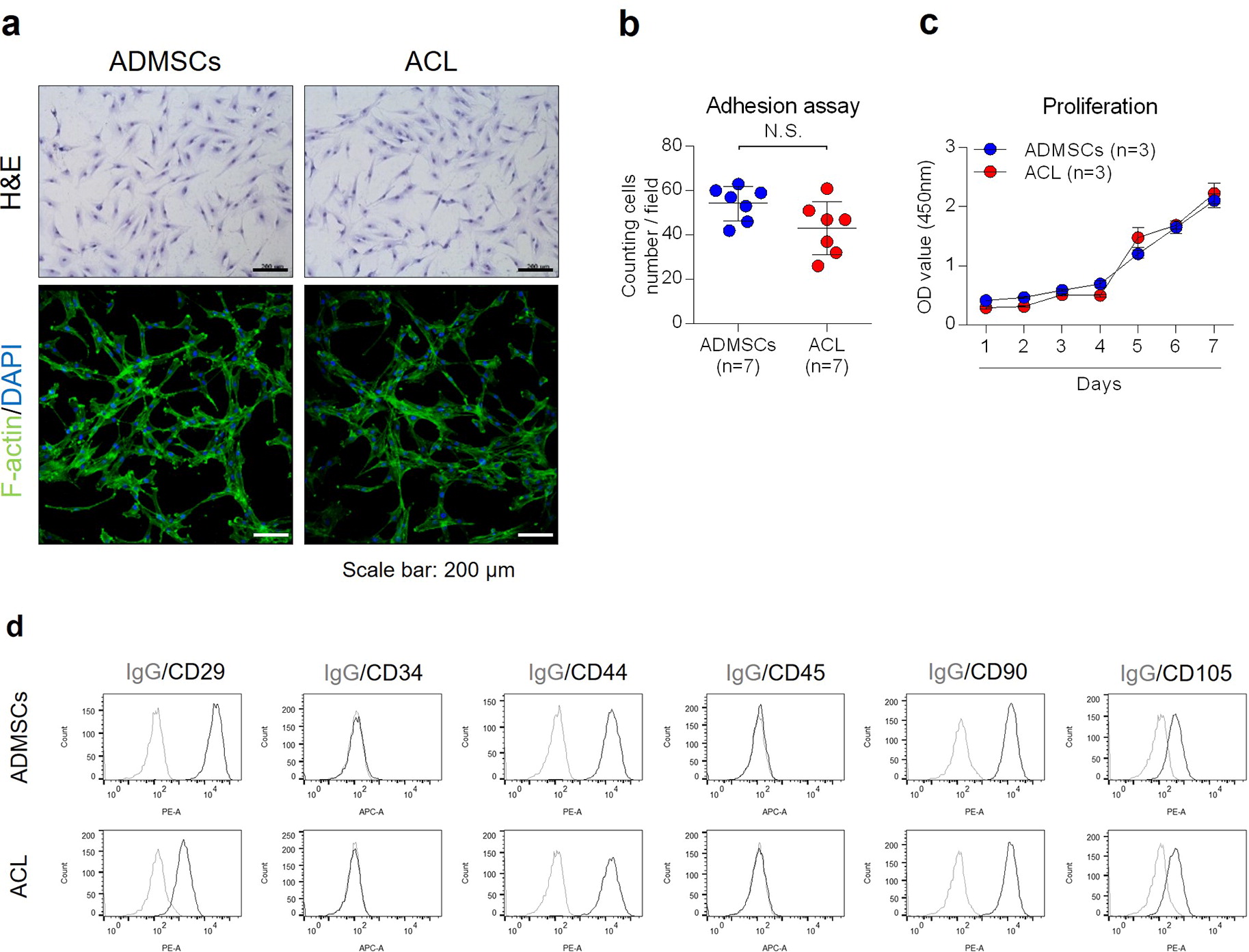 Comparison of ligamentization potential between anterior cruciate ligament-derived cells and adipose-derived mesenchymal stem cells reseeded to acellularized tendon allograft
