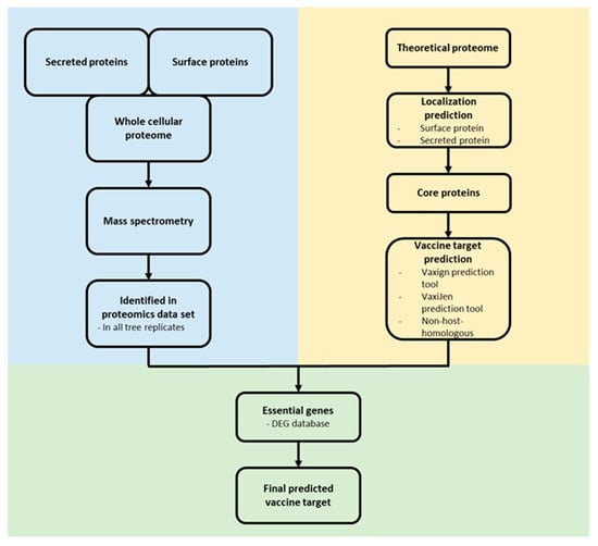 Proteomes, Vol. 10, Pages 39: Multi-Omics of Corynebacterium Pseudotuberculosis 12CS0282 and an In Silico Reverse Vaccinology Approach Reveal Novel Vaccine and Drug Targets