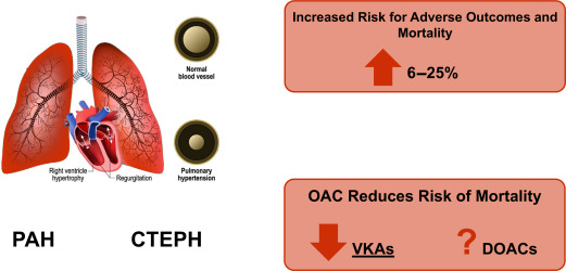 Use of Oral Anticoagulant Drugs in Patients with Pulmonary Hypertension