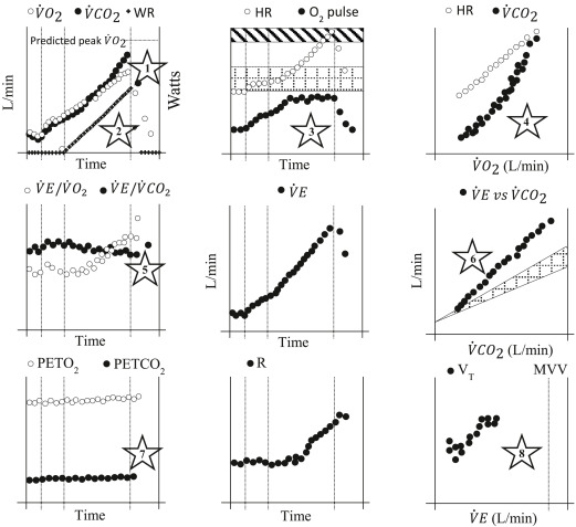 Cardiopulmonary Exercise Testing in Pulmonary Arterial Hypertension