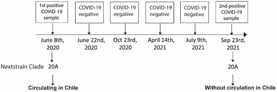 Infectious Disease Reports, Vol. 14, Pages 971-978: Genomic Evidence Suggests Viral Persistence of SARS-CoV-2 for 386 Days in Health Worker: A Case Report from Santiago of Chile