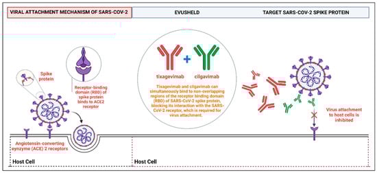 Diseases, Vol. 10, Pages 118: Efficacy and Safety of Tixagevimab/Cilgavimab to Prevent COVID-19 (Pre-Exposure Prophylaxis): A Systematic Review and Meta-Analysis