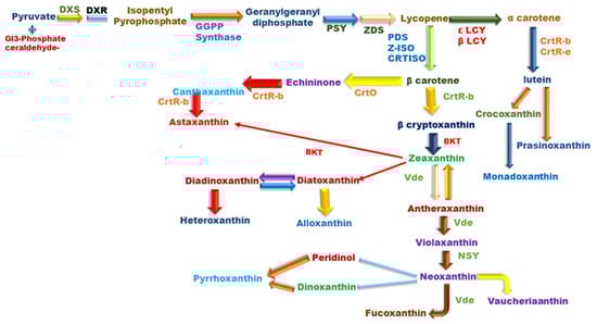 CIMB, Vol. 44, Pages 6257-6279: Microalgal Carotenoids: Therapeutic Application and Latest Approaches to Enhance the Production