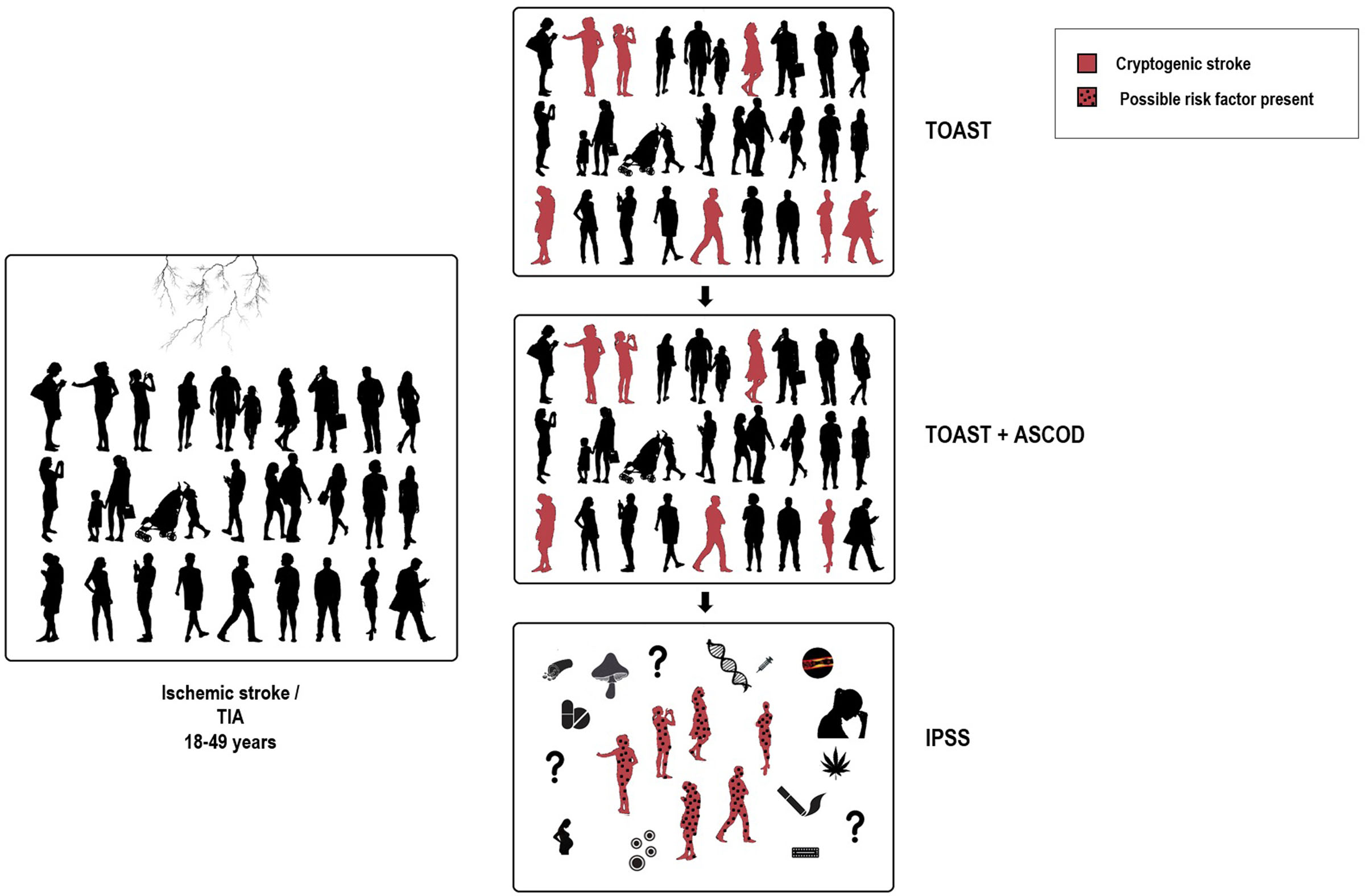 Risk Factors and Causes of Ischemic Stroke in 1322 Young Adults