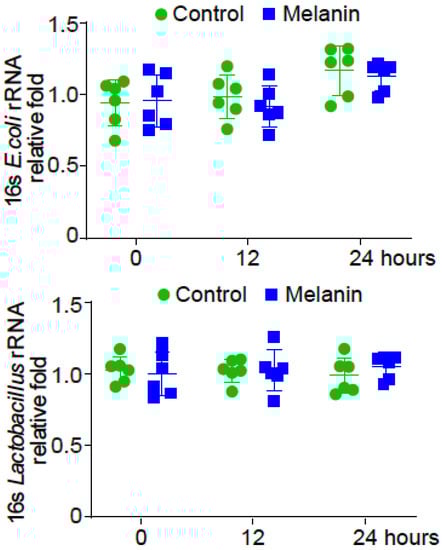 Toxics, Vol. 11, Pages 13: Effects of Melanized Bacteria and Soluble Melanin on the Intestinal Homeostasis and Microbiome In Vivo