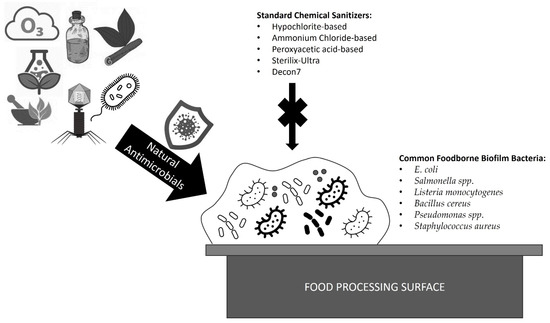 Pathogens, Vol. 12, Pages 45: The Use of Natural Methods to Control Foodborne Biofilms
