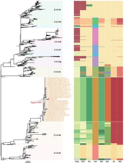 Pathogens, Vol. 12, Pages 36: Highly Pathogenic Avian Influenza A(H5N1) Virus Clade 2.3.4.4b in Wild Birds and Live Bird Markets, Egypt