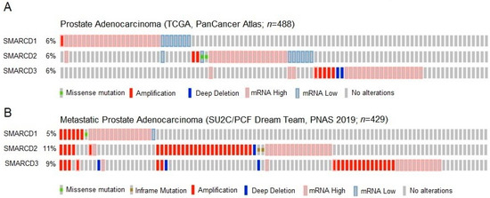 Cells, Vol. 12, Pages 124: The SMARCD Family of SWI/SNF Accessory Proteins Is Involved in the Transcriptional Regulation of Androgen Receptor-Driven Genes and Plays a Role in Various Essential Processes of Prostate Cancer