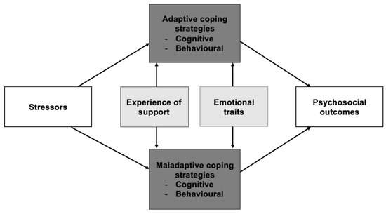 Healthcare, Vol. 11, Pages 89: Identifying Coping Strategies Used by Transgender Individuals in Response to Stressors during and after Gender-Affirming Treatments—An Explorative Study
