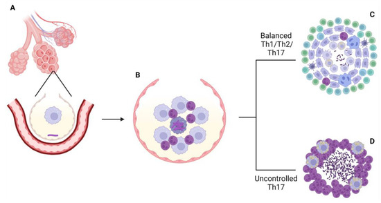 Pathogens, Vol. 12, Pages 49: Mouse Models for Mycobacterium tuberculosis Pathogenesis: Show and Do Not Tell