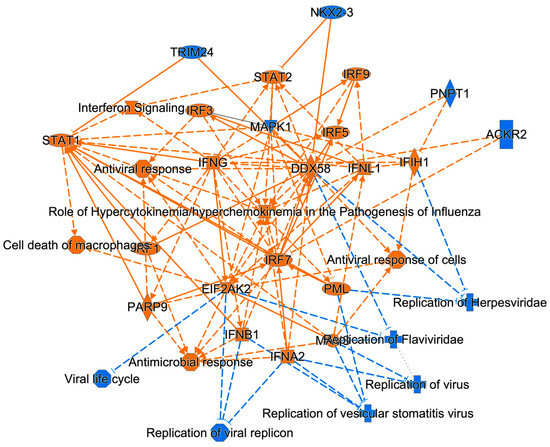 Viruses, Vol. 15, Pages 97: HLA-A, HSPA5, IGFBP5 and PSMA2 Are Restriction Factors for Zika Virus Growth in Astrocytic Cells